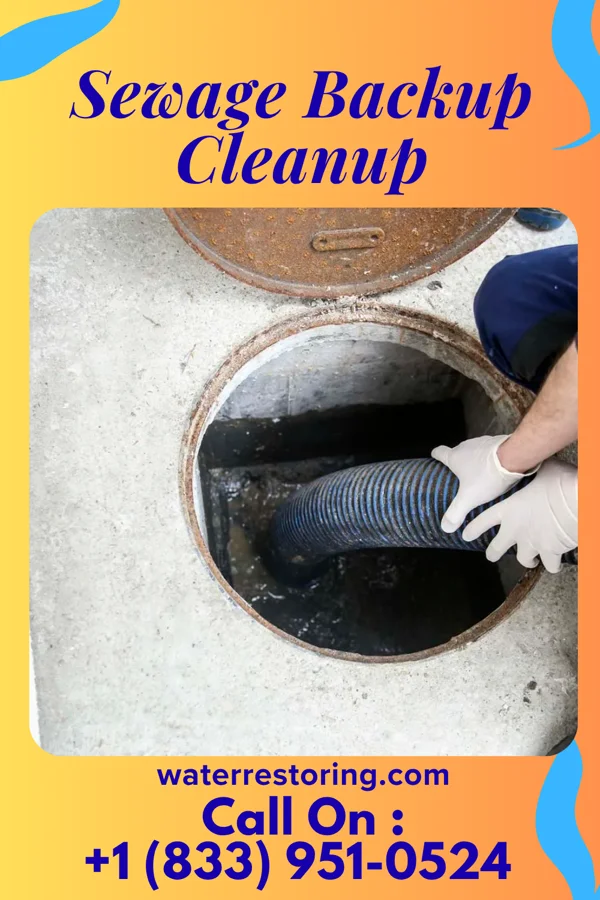 Sewage Backup Cleanup in New Miami Colony, MT